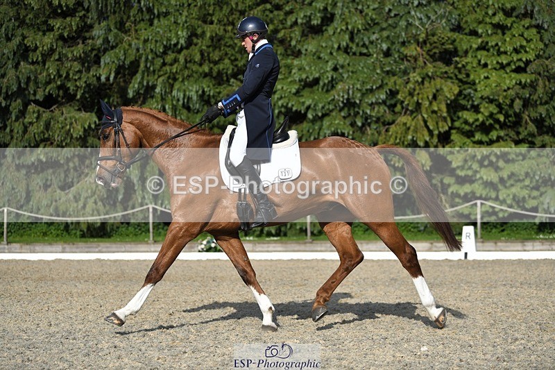 230525-175016-03618 - 131-FORTSIDE_COBRA-Freddie_Carden-WEDTrotUp+DR