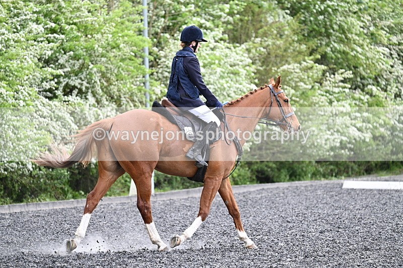 WJ7_0741 - Time 14:01 to 14:12