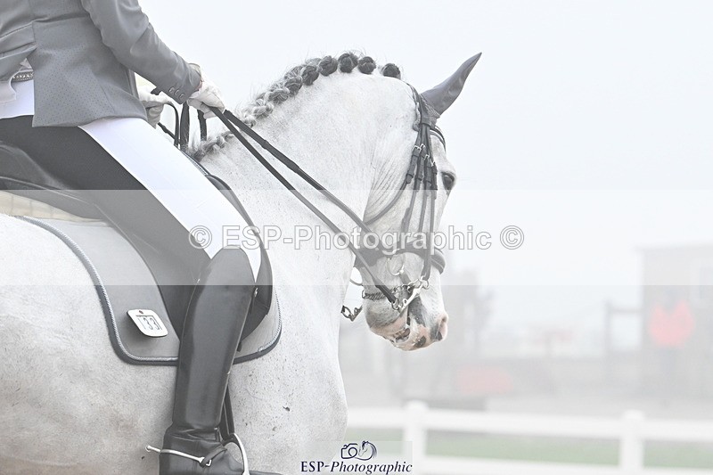 240217A-110803-01570 - 133-Katharine.Lewis-SLS.Maurits