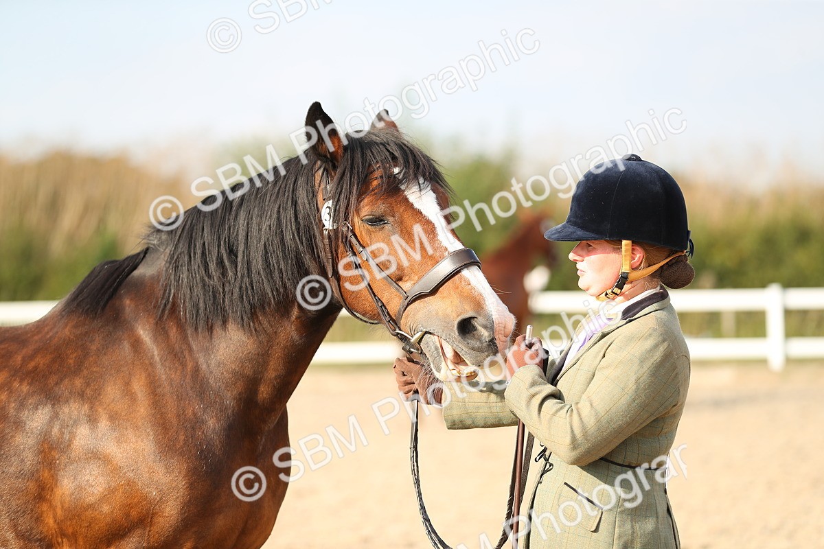 SBM_08620 - Class 28 - IH Veteran Horse