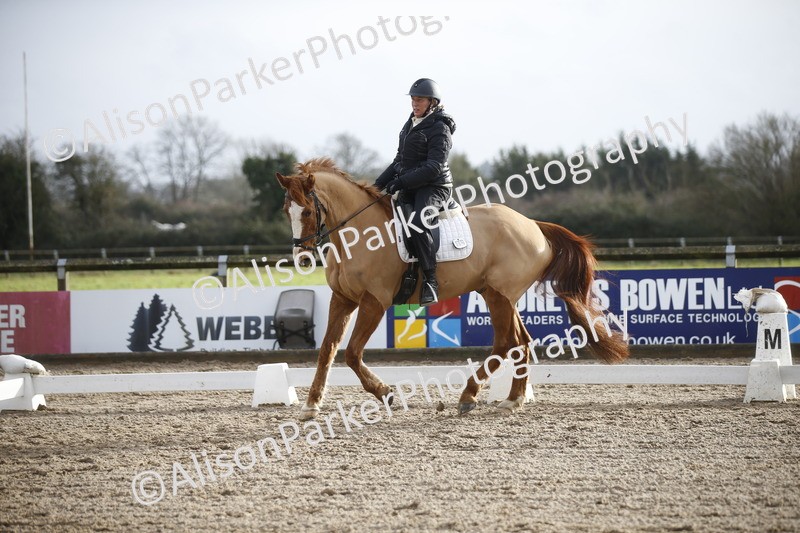 20260127-0338 - Class 16 - BD Novice 2