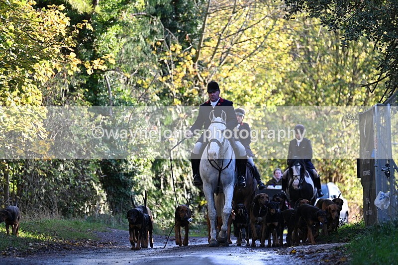 WJ7_8593 - Walk Home