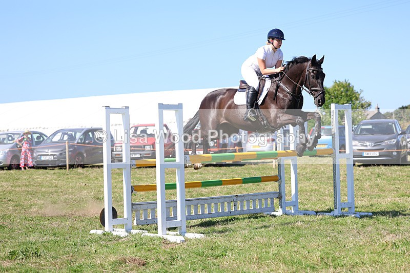 3E7A6533 - Class 13: Senior Newcomers/1.10m open