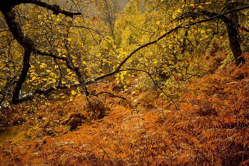 connection - Abstract