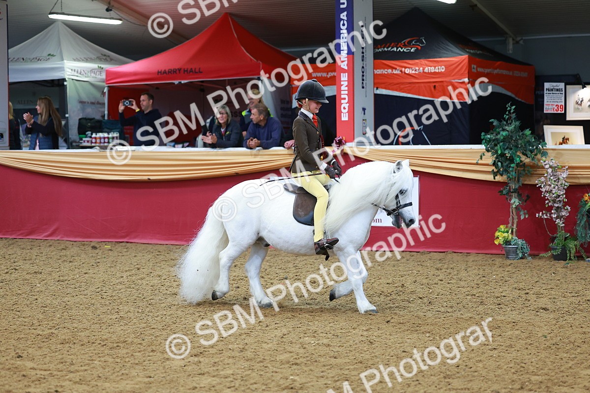 SBM_09887 - Class 102 - HOYS Veteran Qualifier - Ridden Veteran