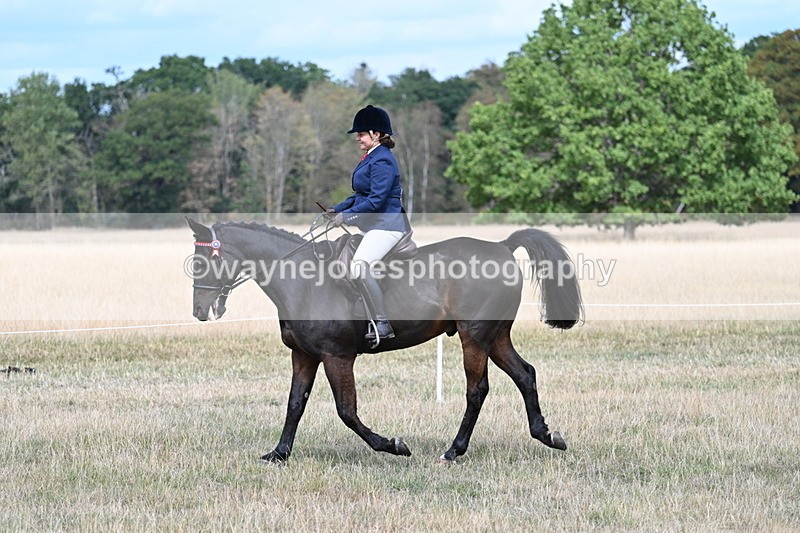 WJ7_5791 - Class 13 Ridden Veterans