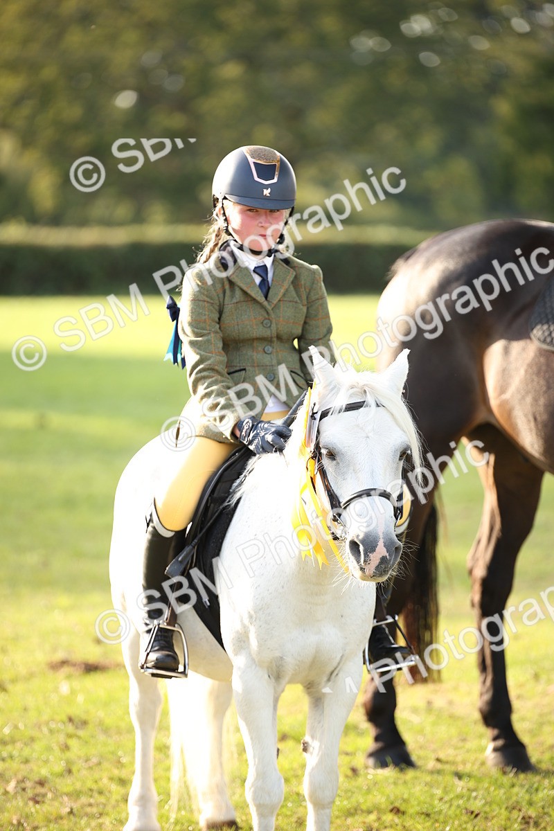 SBM_54365 - S27 - Mature Veteran - Ridden