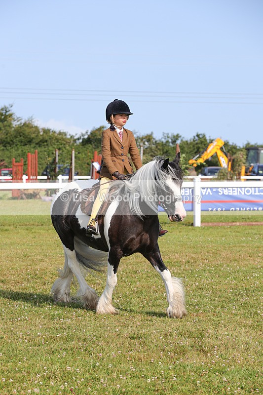 1X9A3309 - Class 28: Ridden Native/Trad Coloured Pony