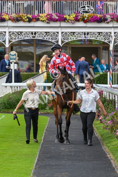 270724-Race 6-Ziggy-7568 - Race 6 5.10pm Sky Bet, For The Fans Handicap