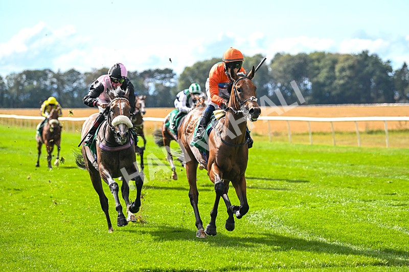 290825-Race 3-Be The Standard-8607 - Race 3