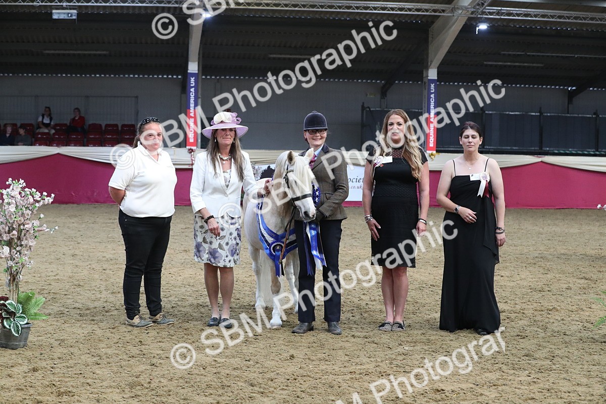 SBM_17216 - M&M Supreme Final Champ