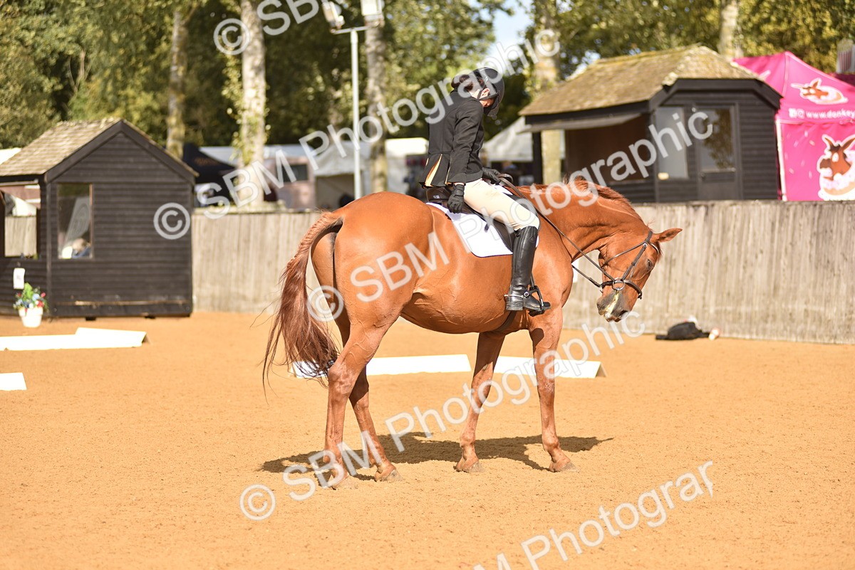 SBM_24244 - D4 - Small Tour Championship Intro 4