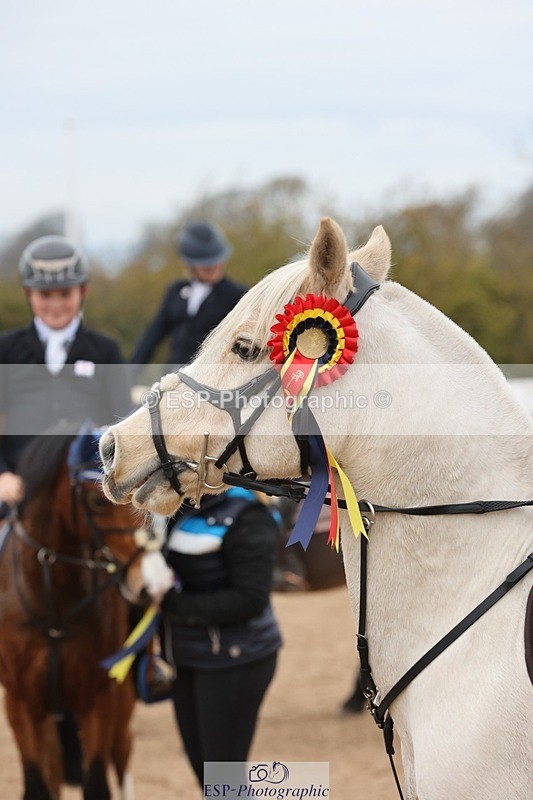 241116X-110328-01039 - Cls 08 Pony Winter Nov Champs J-O