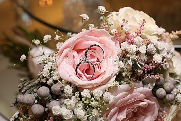 312 - Sandra Grogan and Robert Perez Wedding