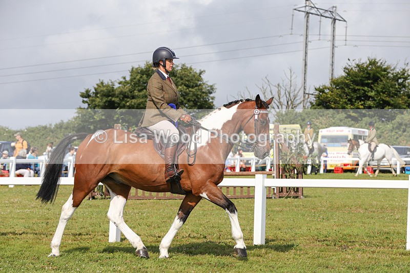 1X9A3472 - Skewbald and Piebald Ridden Championship