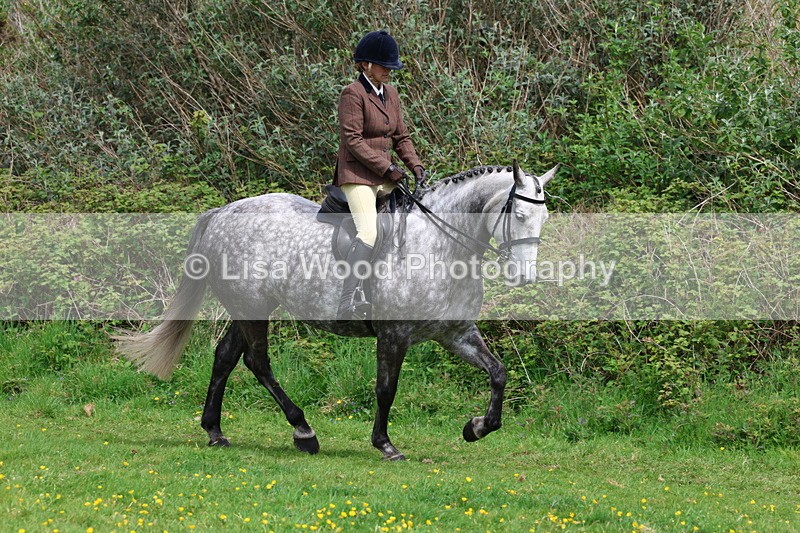 3E7A1677 - Class 9: Riding Club Horse/Pony