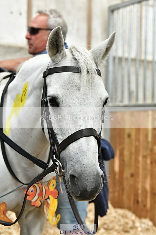 230804A-095427-02219 - Stable Shots