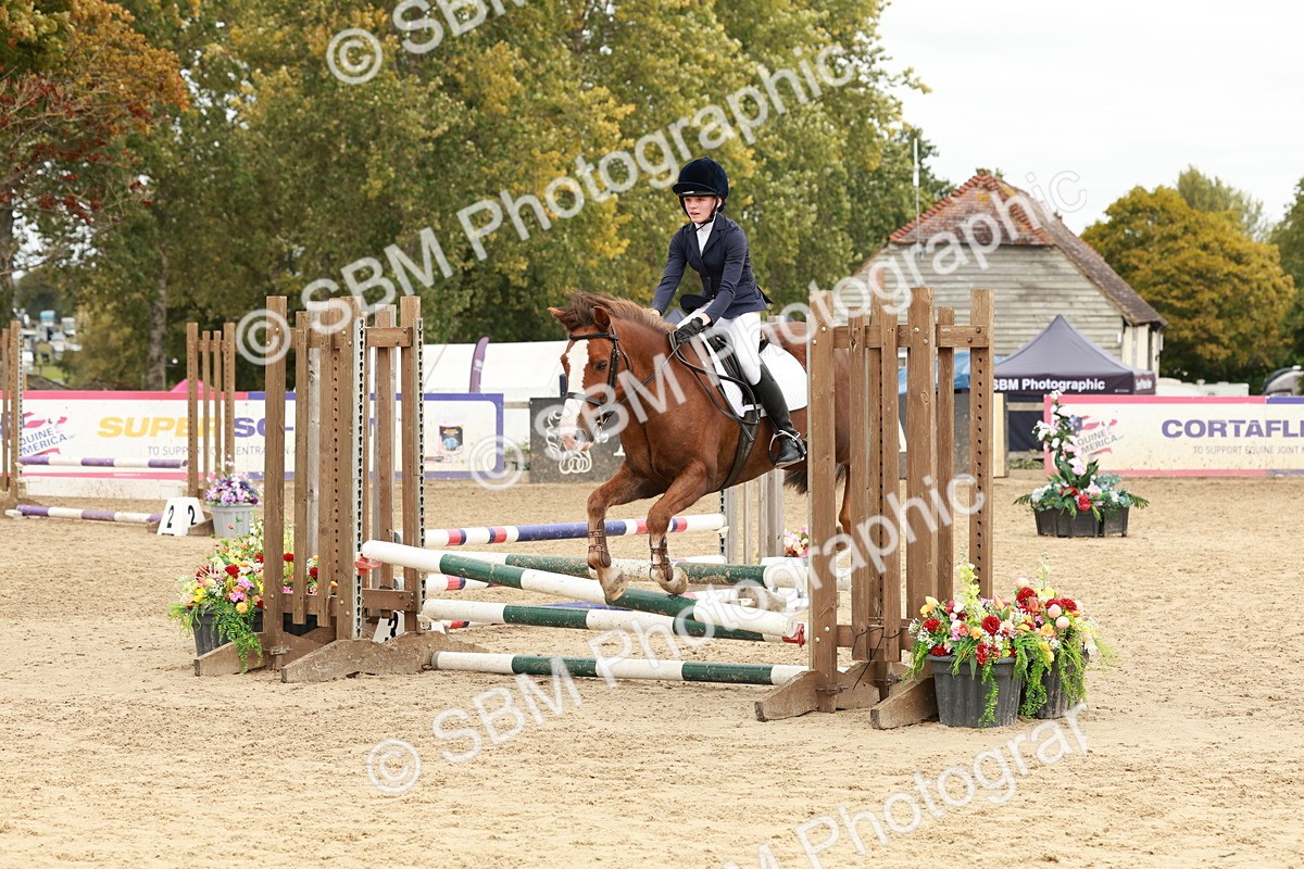 SBM_66912 - J13 - Junior Pony 60cm Championship