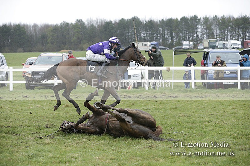 PtP 150320 0363 - New Forest Point-to-Point Larkhill 15/03/20