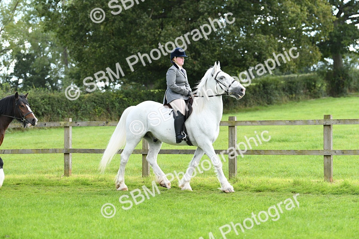SBM_46760 - S12 - Family Horse & Pony