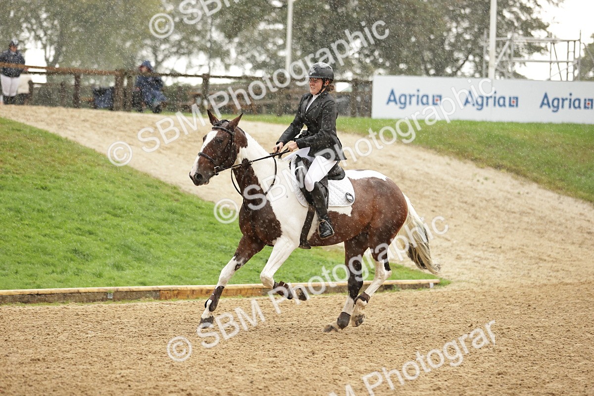 SBM_33104 - J38 - Senior Horse & Pony 80cm Championship