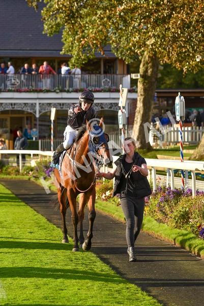 230923-Race 7-Two Brothers-7242 - Race 7 5.30pm Neil Atkinson's 60th Birthday Celebration Handicap