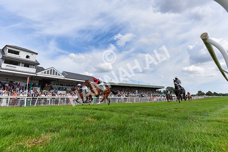 260826-Race 1-Mugheer-6307 - Race 1 14:15 Yorkshire Dales Distillery / EBF Restricted Maiden Stakes