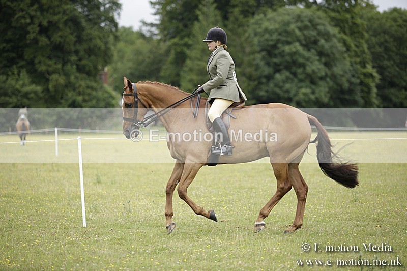 BVR160717-812 - Ring 1 BVRC Show 16/07/17