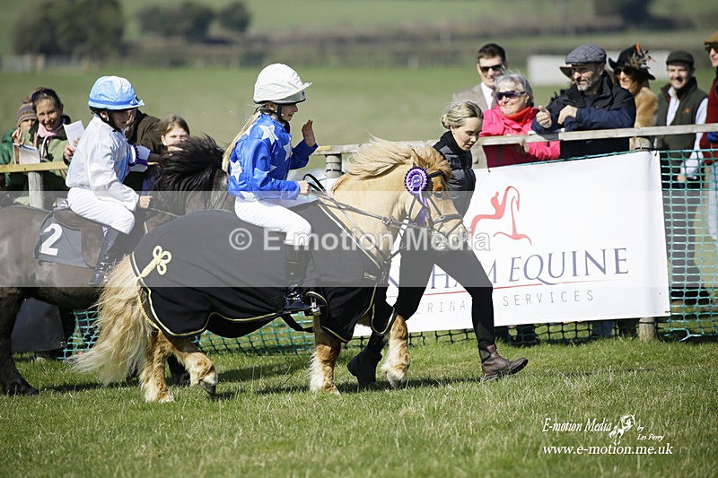 PtP 190322 105 - Wilton Hunt PtP Milborne St Andrew 19/03/22