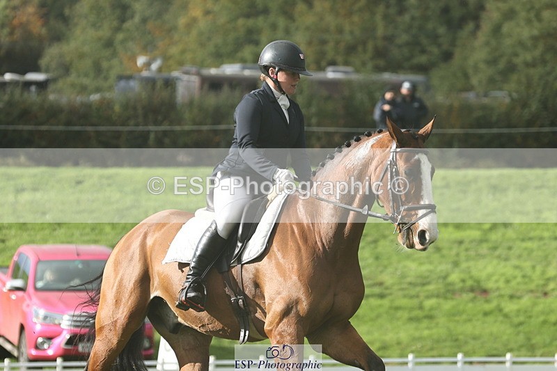 251023A-144430-05017 - G-523-Tasha.Seely