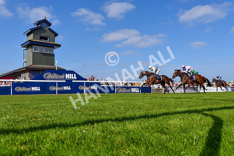 310824-Race 5-Bassadanza-6058 - Race 5