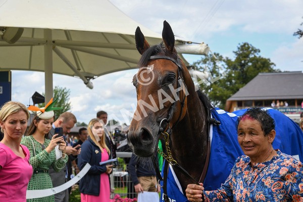 240823-Race 4-Warm Heart-0402 - Race 4 3.35pm Pertemps Network Yorkshire Oaks
