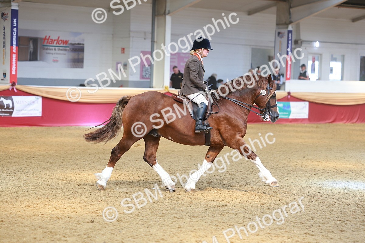 SBM_12531 - Class 103 - HOYS Veteran Qualifier - Ridden Pre Vet