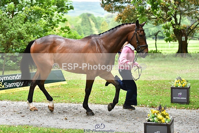 240522-163310-00998 - 211-THE_CLASSIC_COMPOSER-Rosie_Ringer