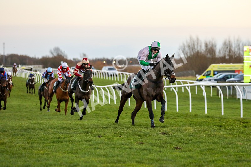 191223-Race 7-Wilful-2943 - Race 7