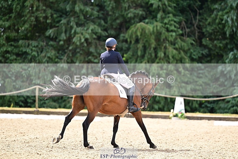 260802A-110556-05673 - Novice Silver break - break