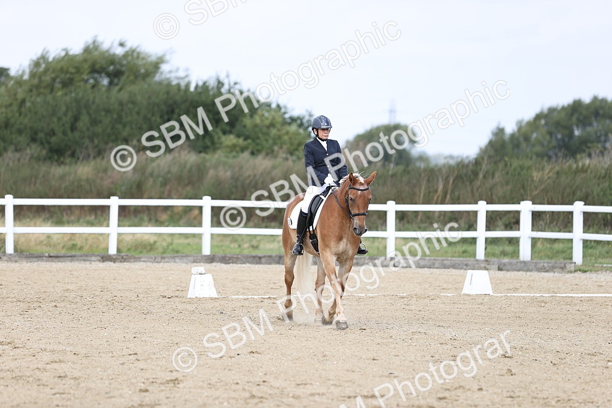 SBM_016755 - Class 14 Novice 23 - 11.53-12.56