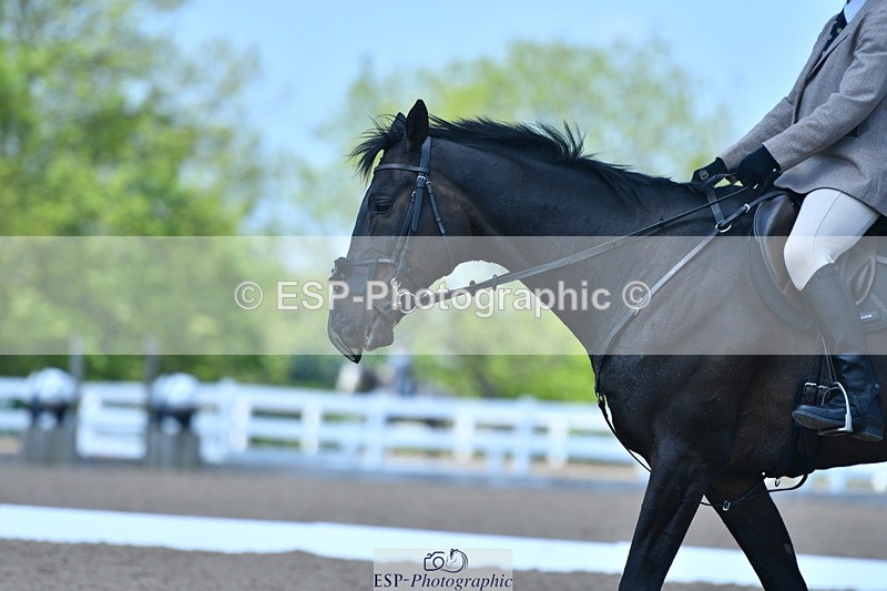 230520A-134005-01372 - Cls 6 Novice 30