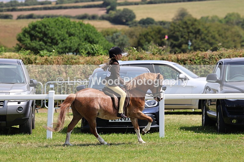 IMG_3212 - Class 43: NPS Welsh A & B