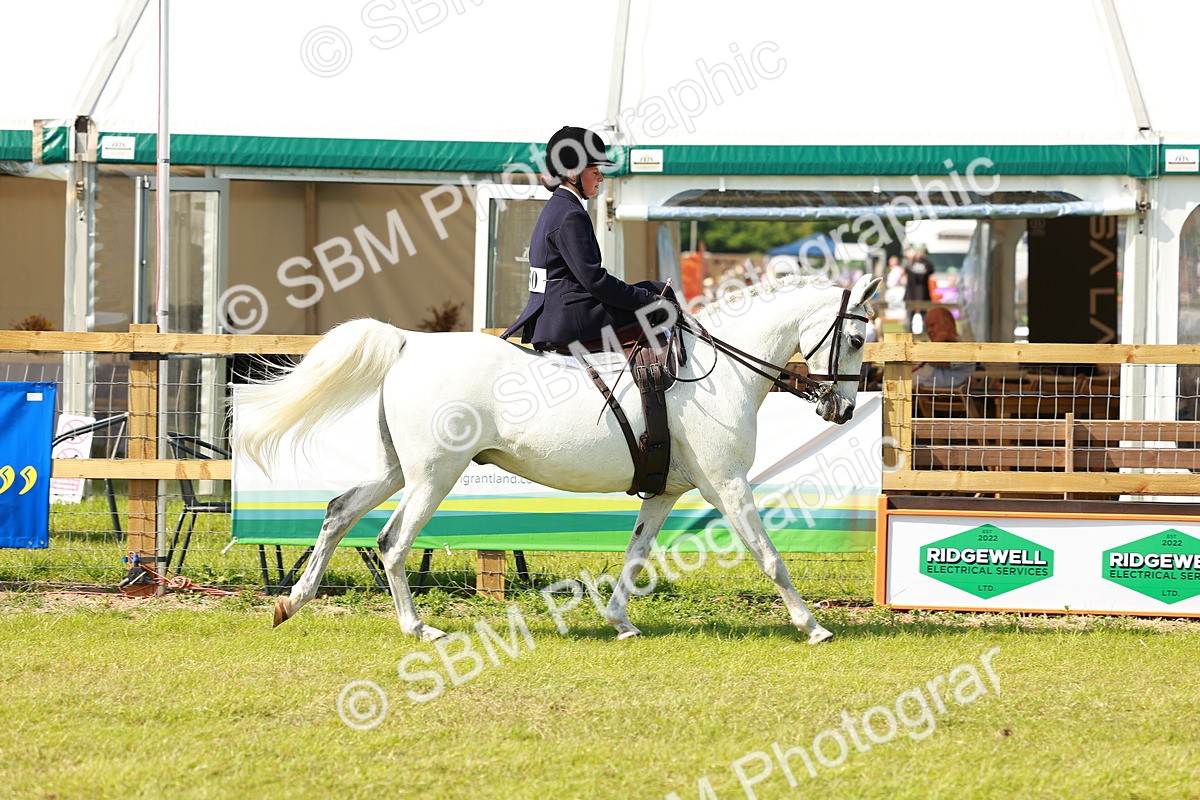 SBM_13144 - Class 70-71 - Side Saddle
