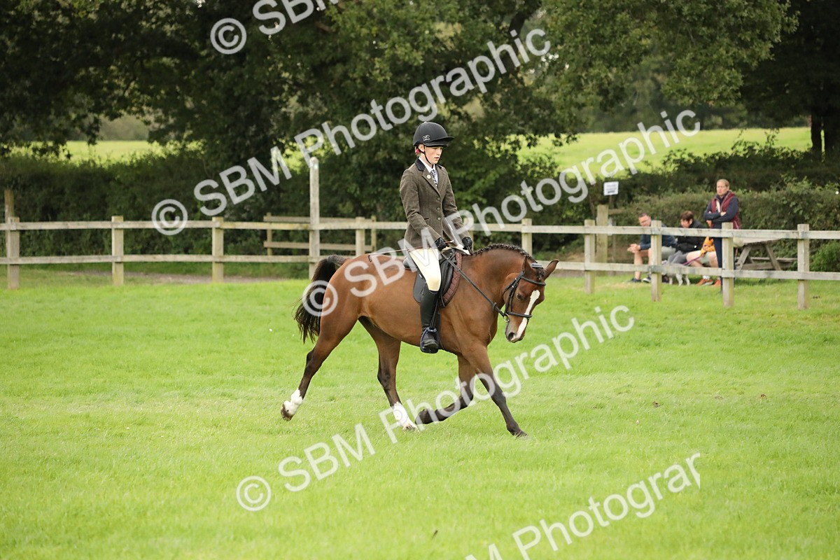 SBM_73751 - S41 - Ridden Equitation (Best Rider)