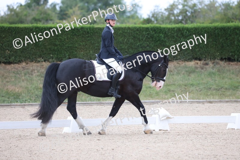 20250706-0002 - Class 1 - TQ Open Intro test 2