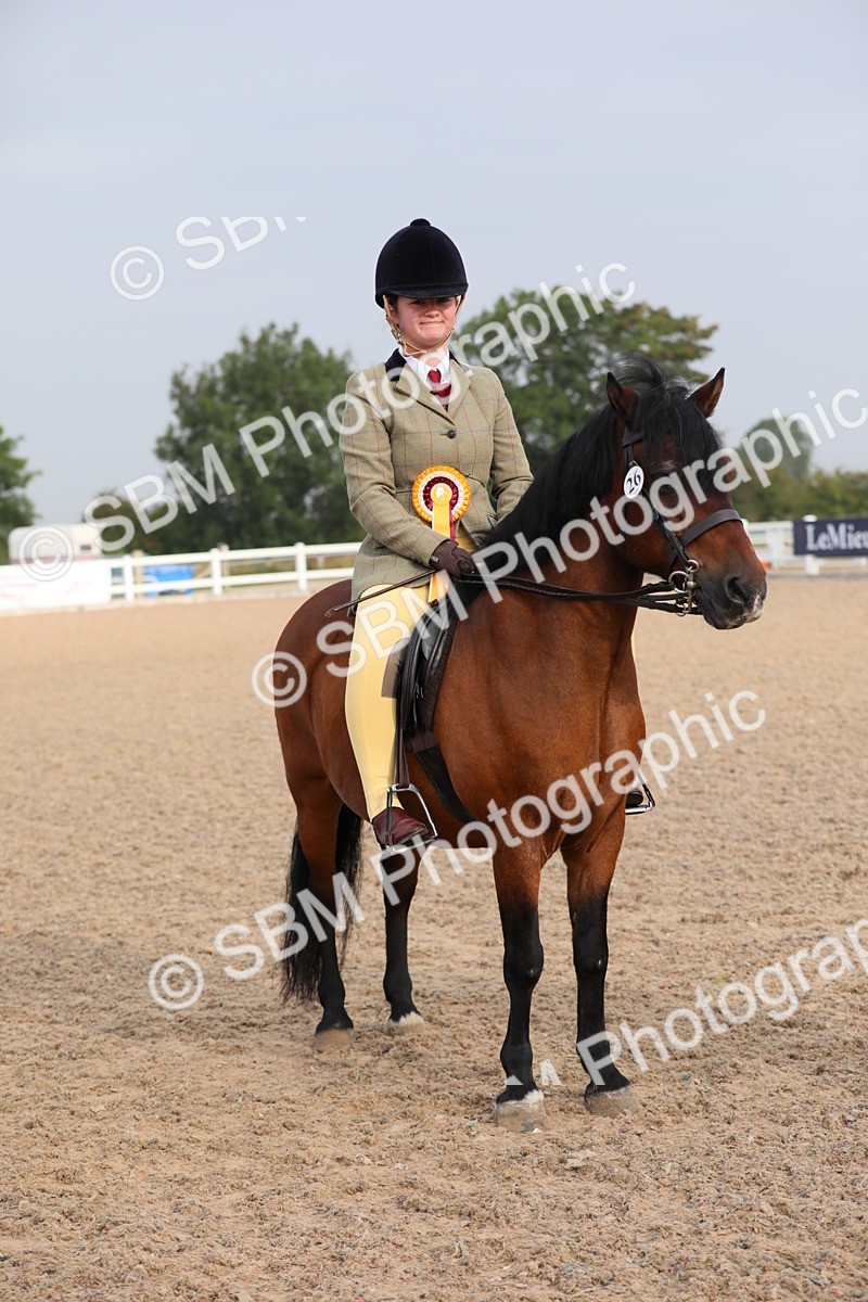 SBM_09687 - Class 301 Ridden M&M -Small Breeds