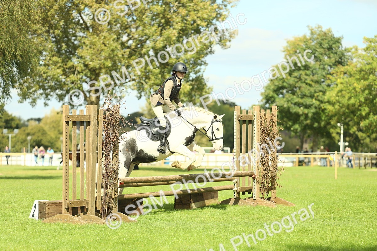 SBM_44697 - S31 - Working Hunter Pony
