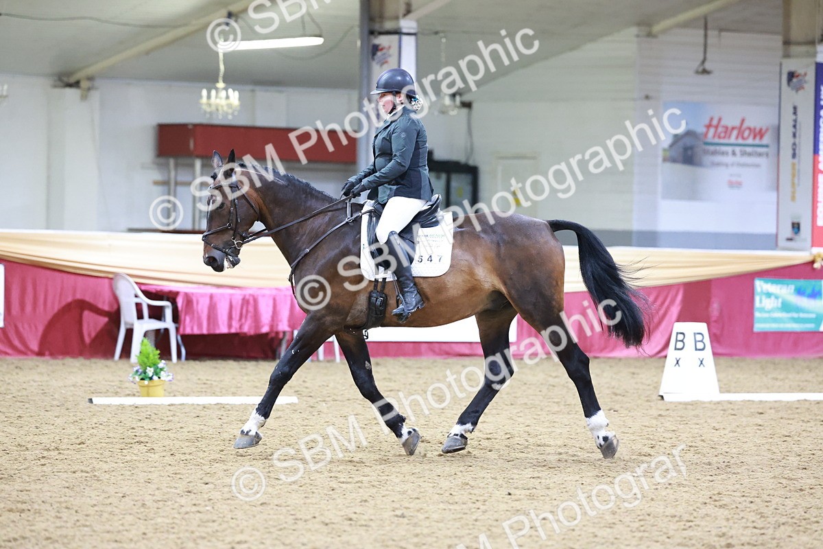 SBM_09815 - Class 61 - Dressage to Music