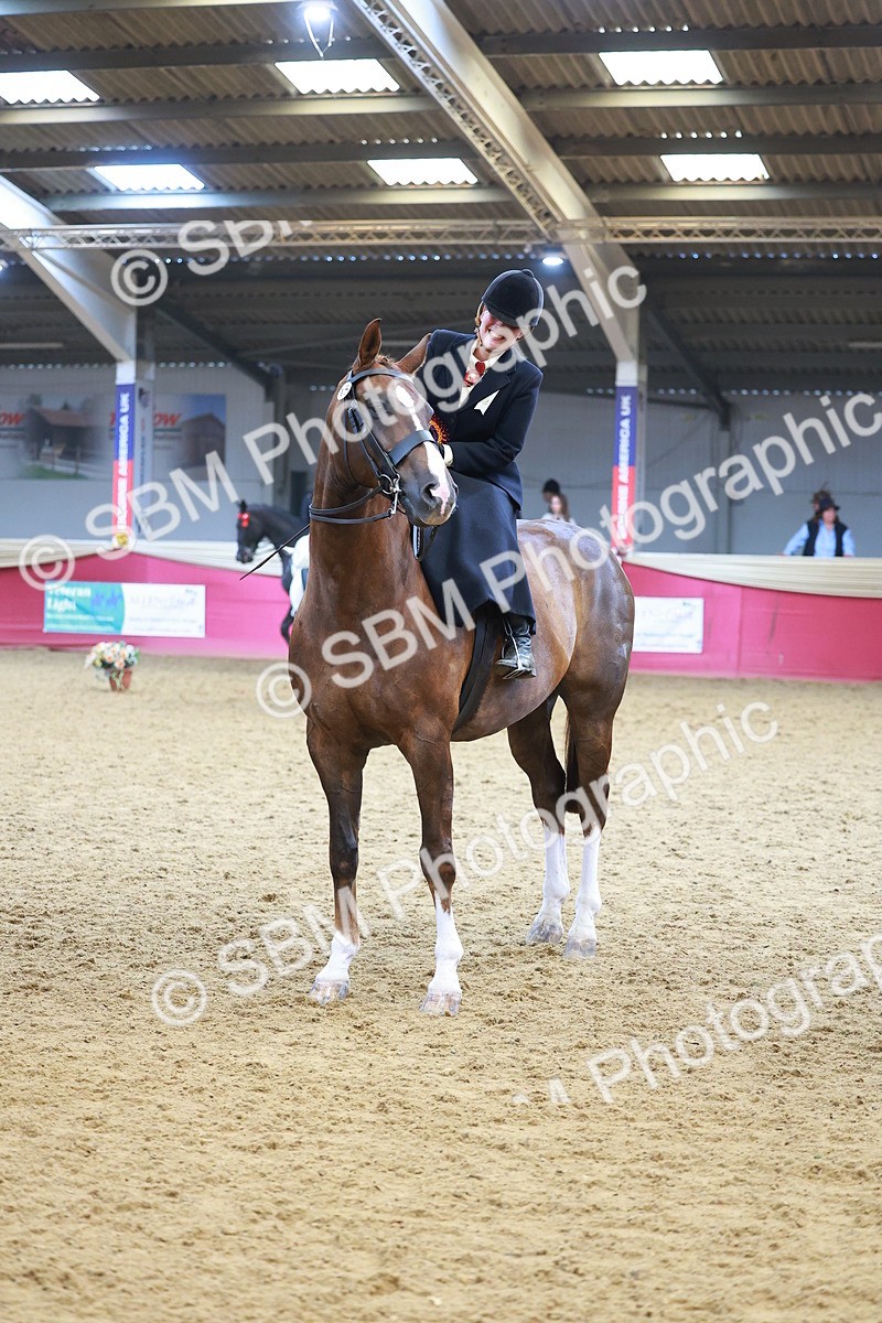 SBM_12691 - Class 103 - HOYS Veteran Qualifier - Ridden Pre Vet