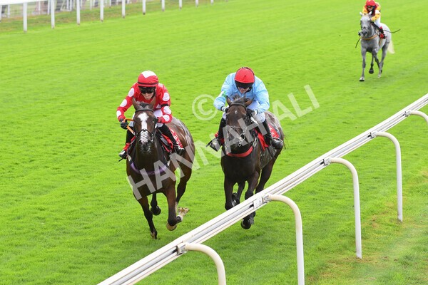 yr04092022p1-53 - 12.30pm 148cm Conditions Pony Race