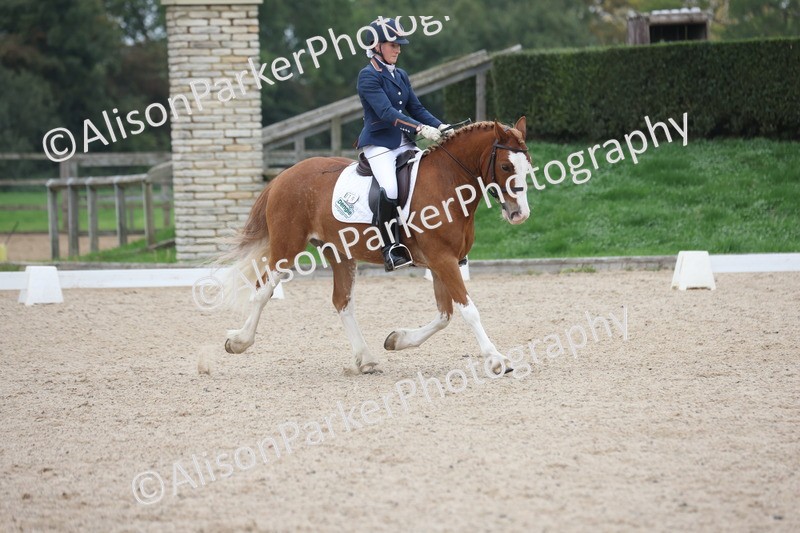 20251011-0408 - Class 4 - Novice 2