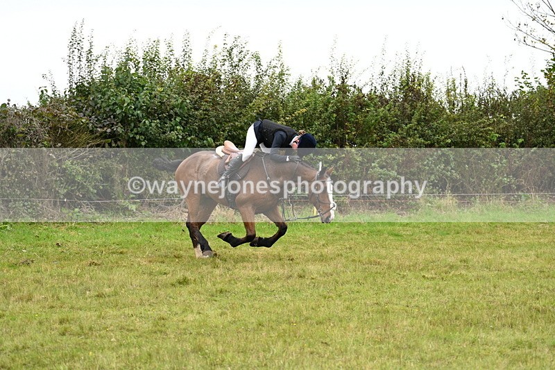 WJ7_4168 - Camera 1 Line 2