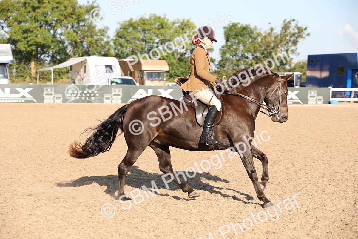 SBM_00677 - Class 14 Ridden M&M Wildcard